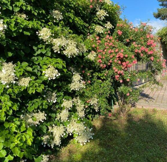 בית מלון כפרי Olimp Soup&bed