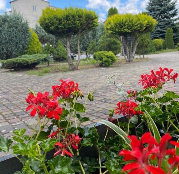 בית מלון כפרי Olimp Soup&bed