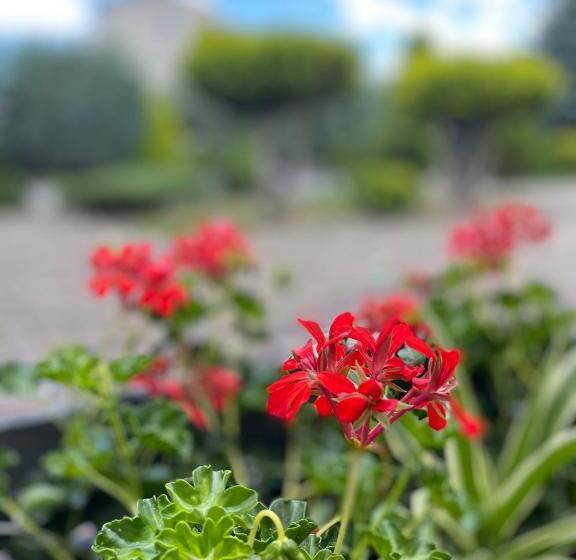 בית מלון כפרי Olimp Soup&bed