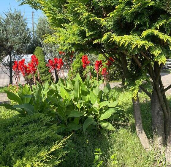 בית מלון כפרי Olimp Soup&bed