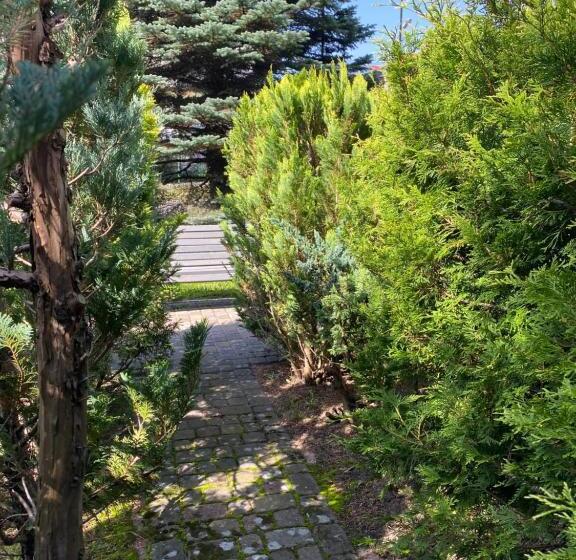 בית מלון כפרי Olimp Soup&bed