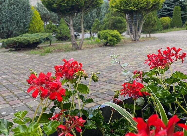 בית מלון כפרי Olimp Soup&bed