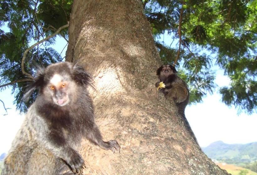 Hotel Pousada Verde Maratea