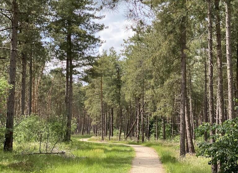 酒店 Vakantiepark Camping De Peelpoort