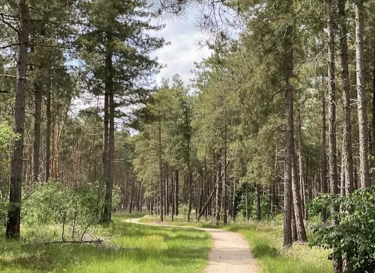 Hotelli Vakantiepark Camping De Peelpoort