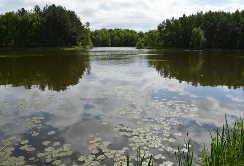 酒店 Vakantiepark Camping De Peelpoort