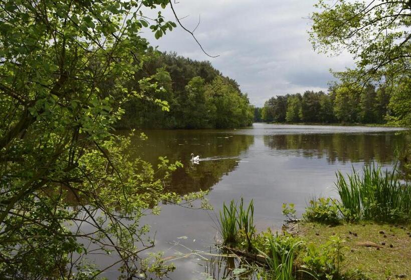 酒店 Vakantiepark Camping De Peelpoort