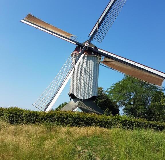 酒店 Vakantiepark Camping De Peelpoort