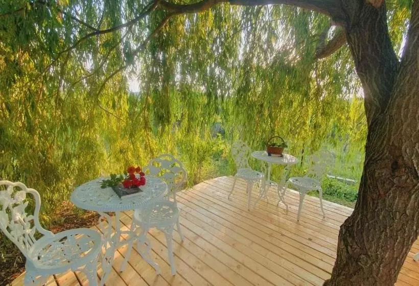 ペンション Casa De Vacanta Madalina