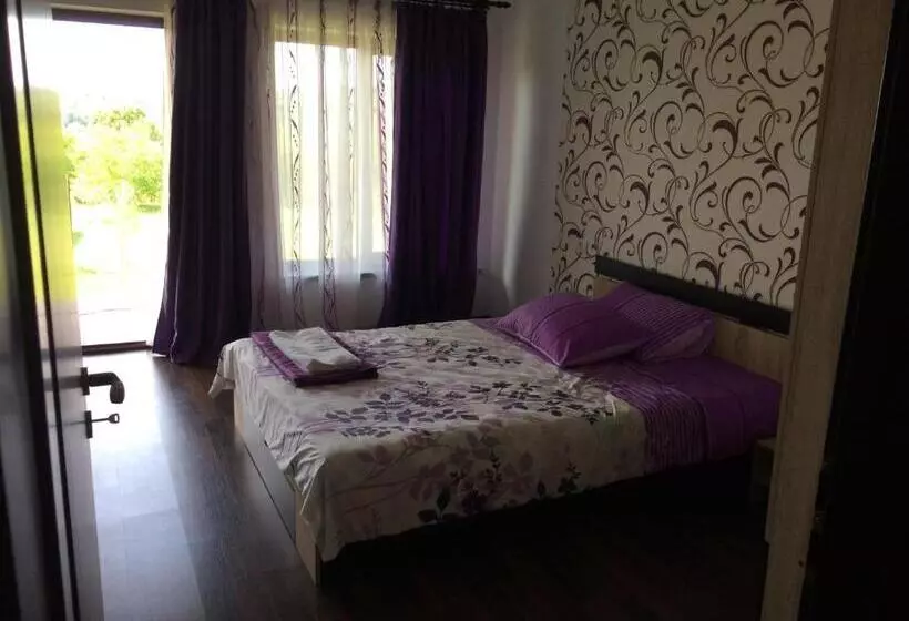 ペンション Casa De Vacanta Madalina