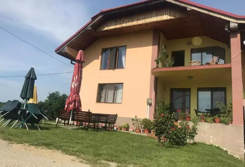 ペンション Casa De Vacanta Madalina