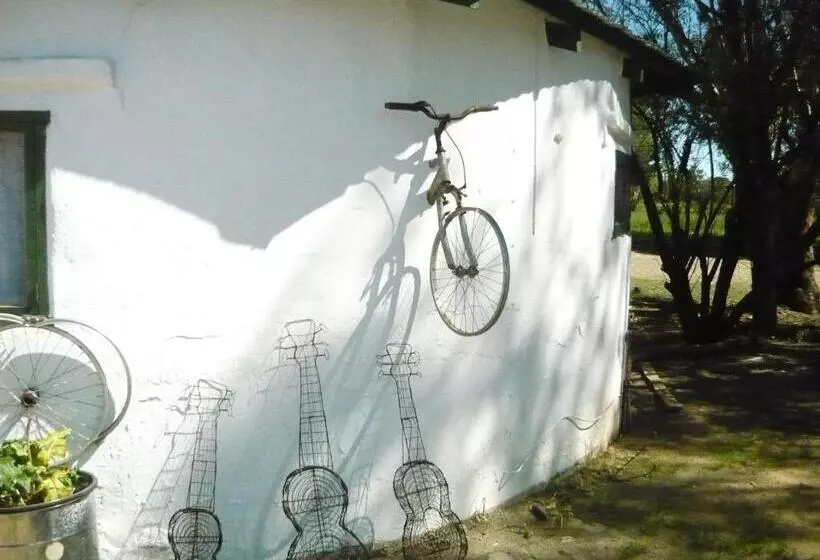 ペンション Purple House B&b Smithfield