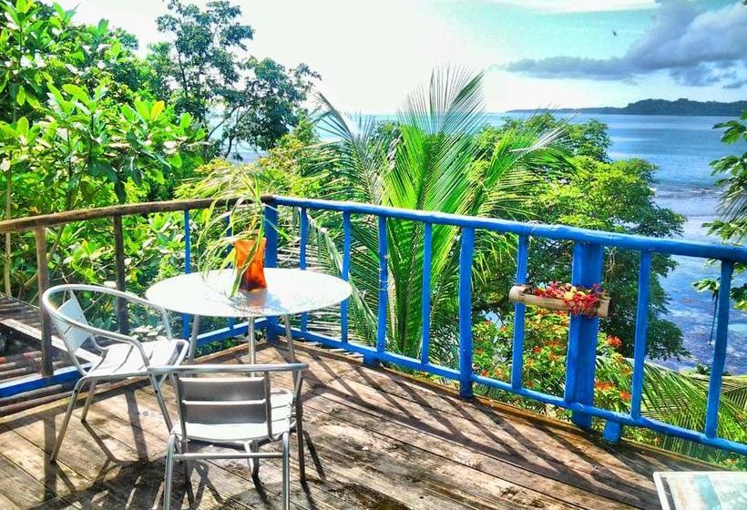 پانسیون Mosana Reef Garden B&b