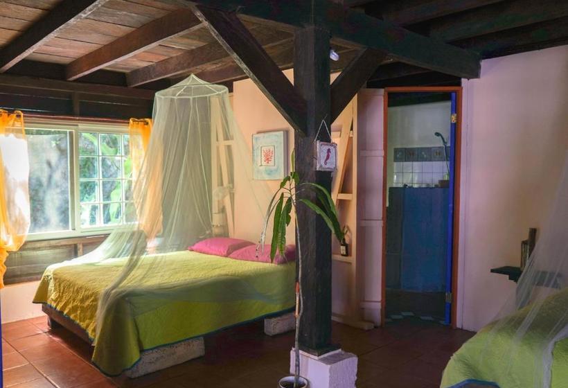 پانسیون Mosana Reef Garden B&b