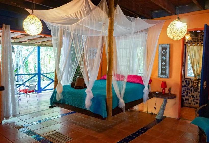 پانسیون Mosana Reef Garden B&b