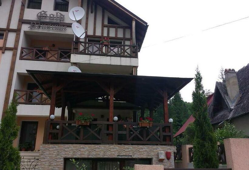 Pensiunea Gold