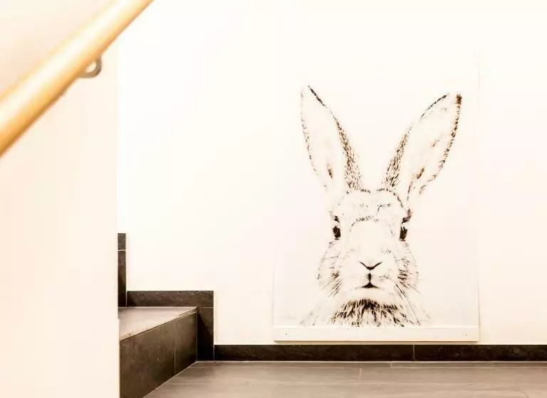 Retkeilymaja Gasthaus Brünig Kulm