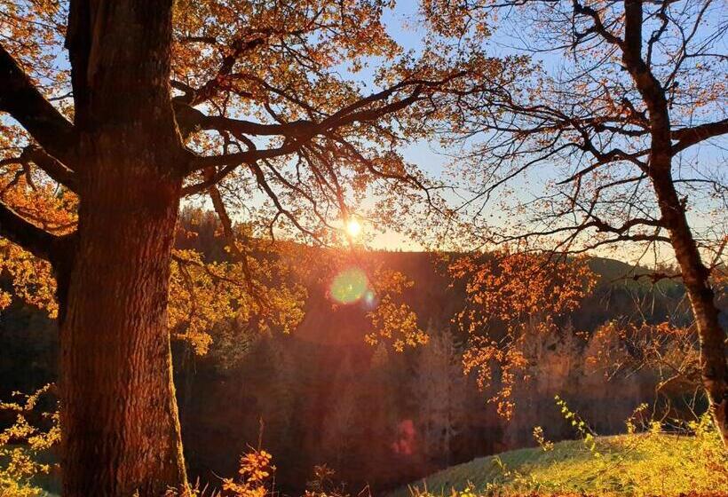 Hostel Gasthof Krone