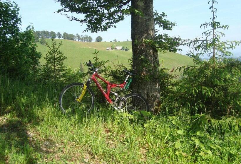 Hostel Gasthof Krone