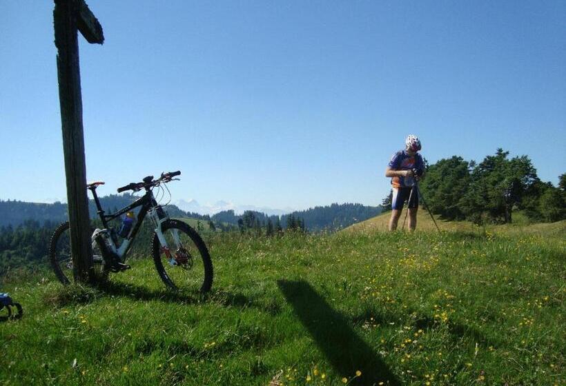 Hostel Gasthof Krone