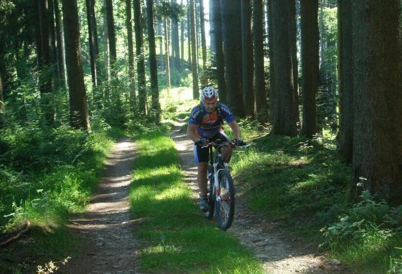 Hostel Gasthof Krone