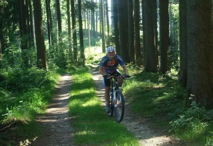 Retkeilymaja Gasthof Krone