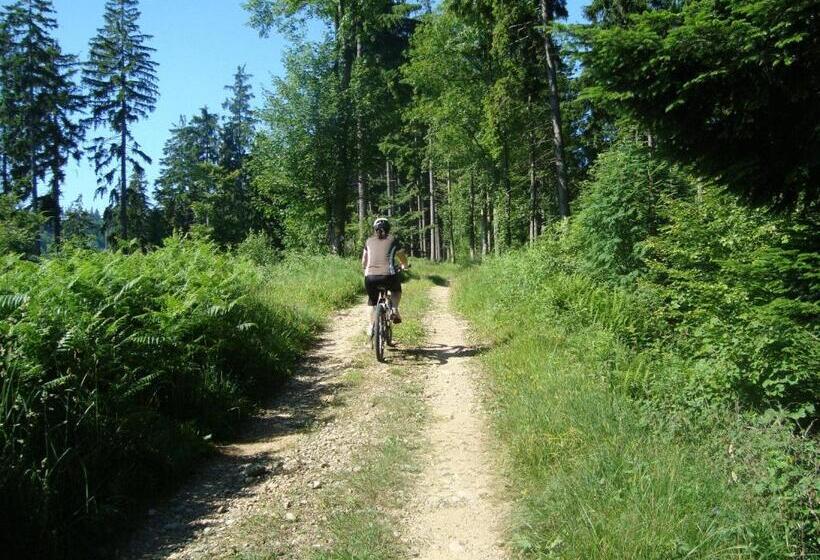 Hostel Gasthof Krone