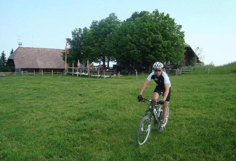 Hostel Gasthof Krone