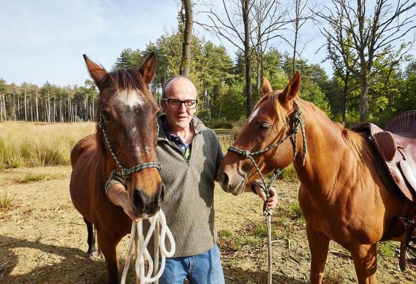 B&b Zinnen En Minnen