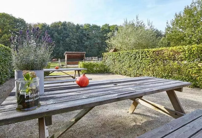 B&b Zinnen En Minnen