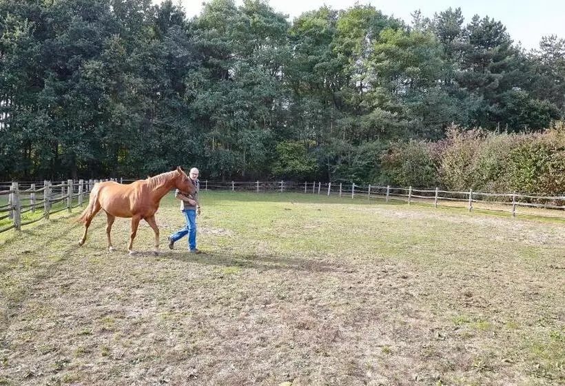 B&b Zinnen En Minnen