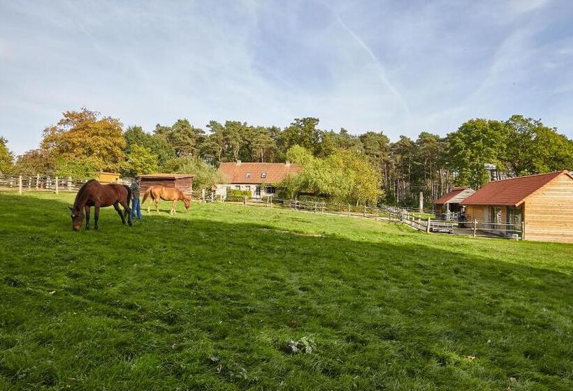 B&b Zinnen En Minnen