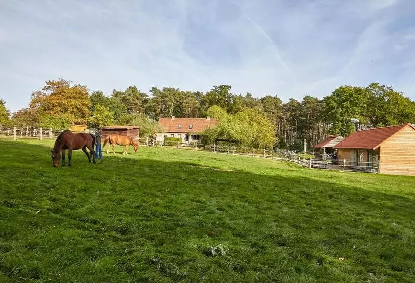 B&b Zinnen En Minnen