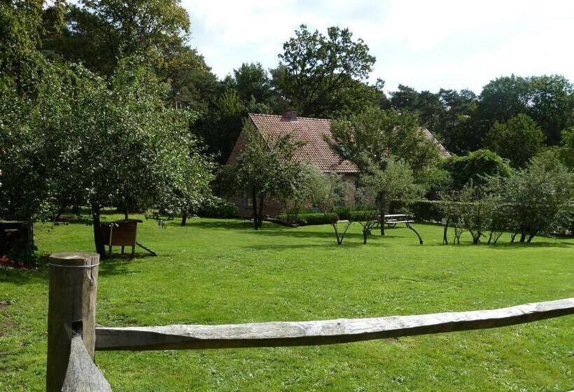 B&b Zinnen En Minnen