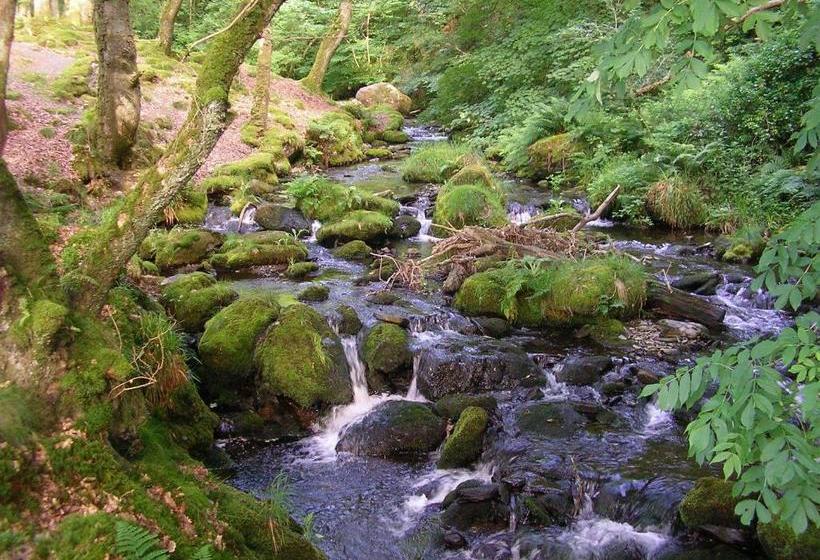 مبيت وإفطار The Dolgoch