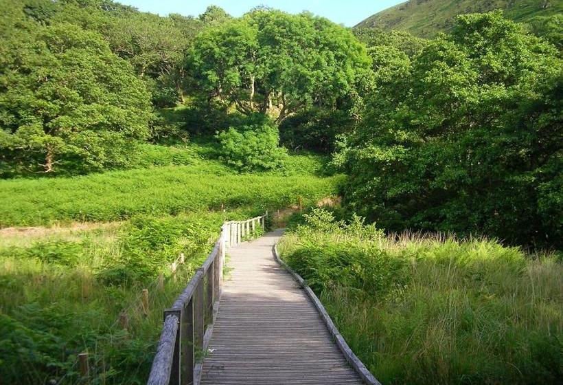 مبيت وإفطار The Dolgoch