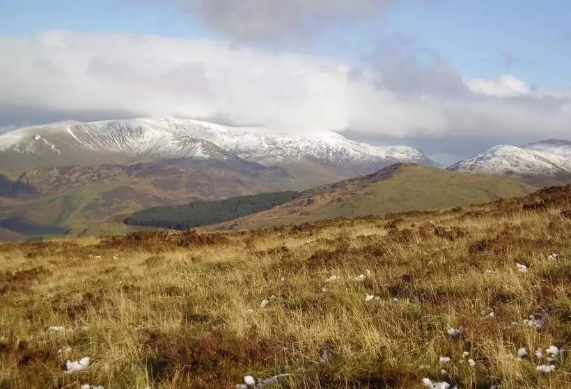 Aamiaismajoitus (B&B) The Dolgoch