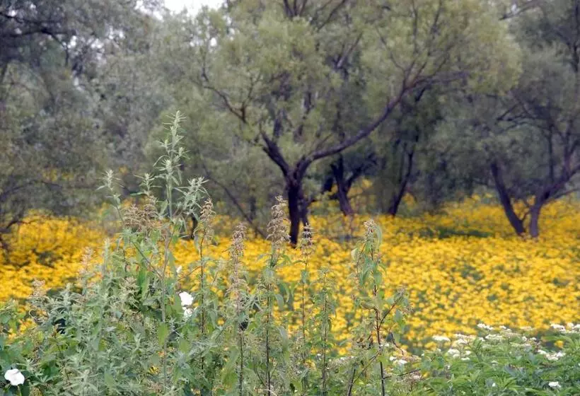 Hotelli туристично розважальний комплекс стіжок