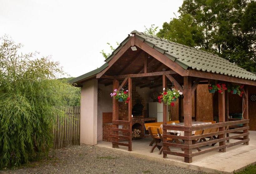 호텔 Agropensiunea Cetatuia