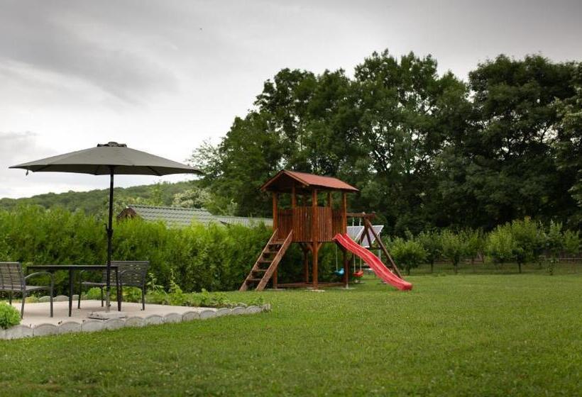 호텔 Agropensiunea Cetatuia