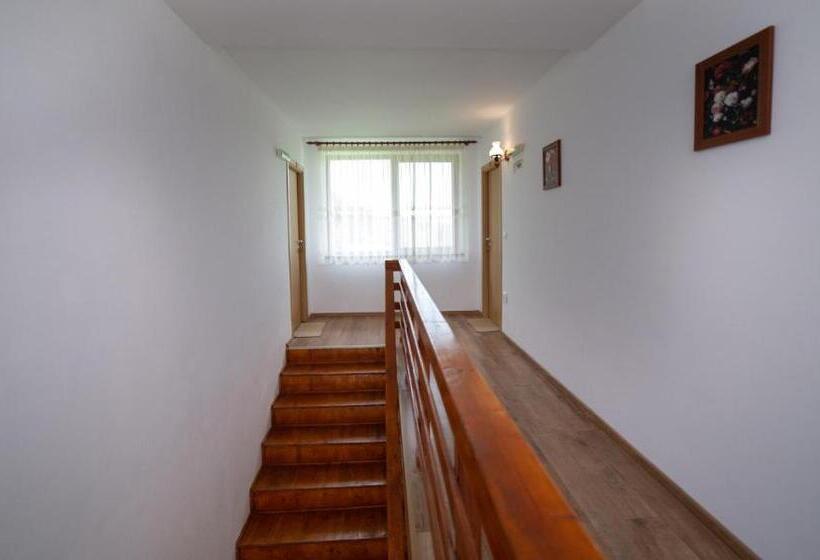 호텔 Agropensiunea Cetatuia