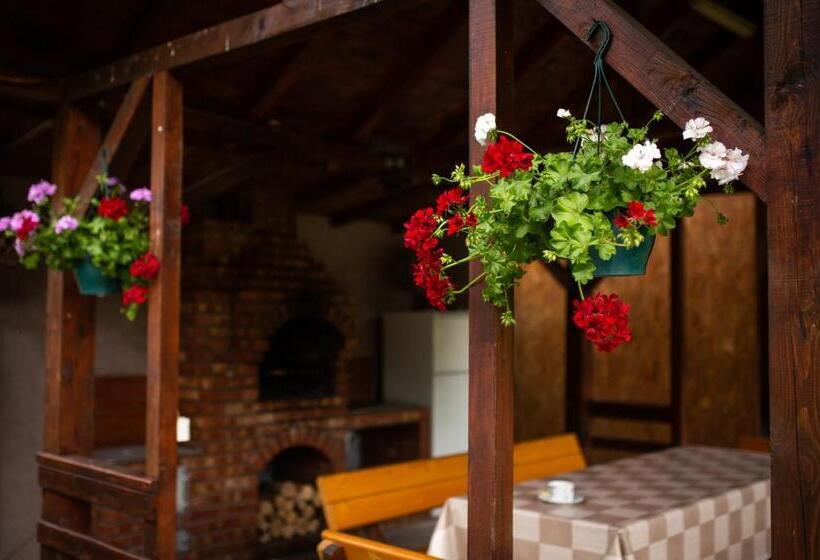 호텔 Agropensiunea Cetatuia