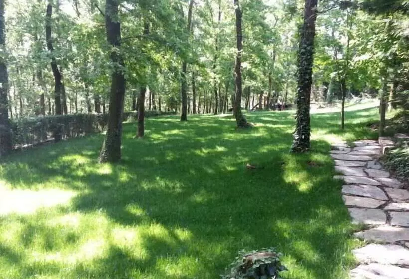 ホテル Green House Garden Park