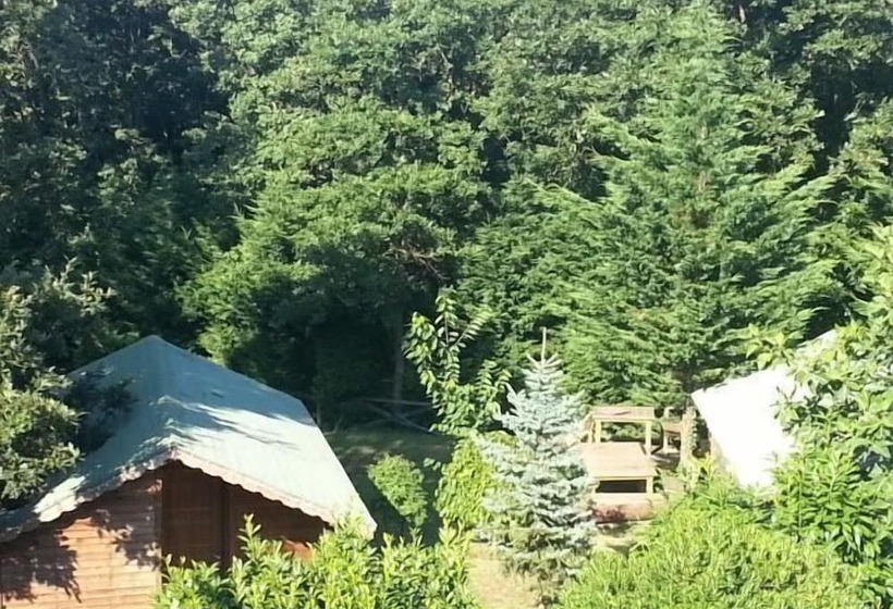 Отель Green House Garden Park