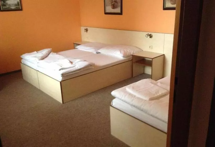 ホテル Mlyn   Jihlava