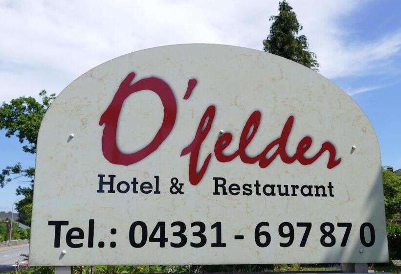 酒店 O Felder