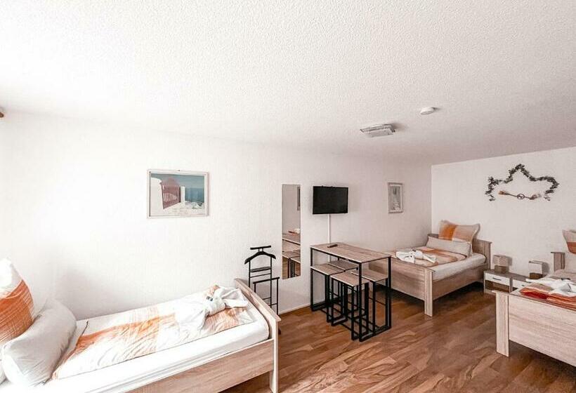 호텔 Schwarzach Am Main