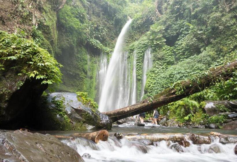 פנסיון Bidara Cottage