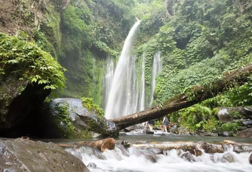 ペンション Bidara Cottage