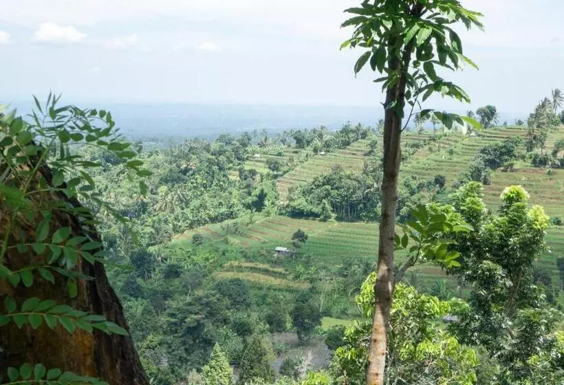 ペンション Bidara Cottage